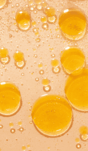 Untitled design (59)