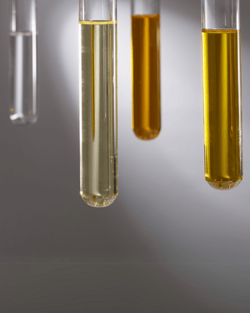 Untitled design (61)