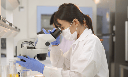 Untitled design (66)