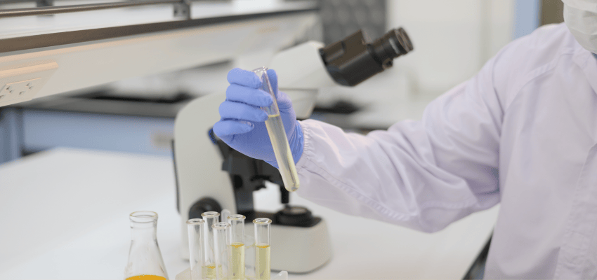 Untitled design (67)