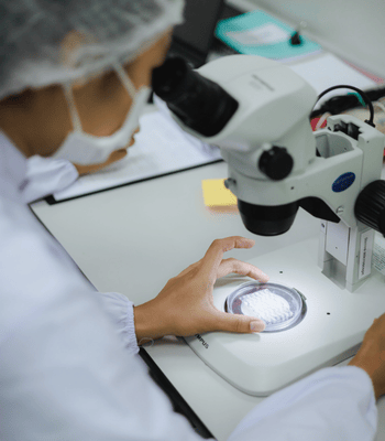 Untitled design (69)